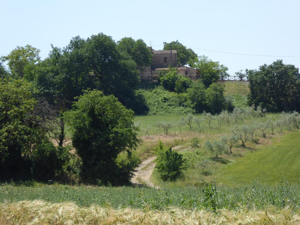 Pietre Di Fiume Villa Apice Exterior photo